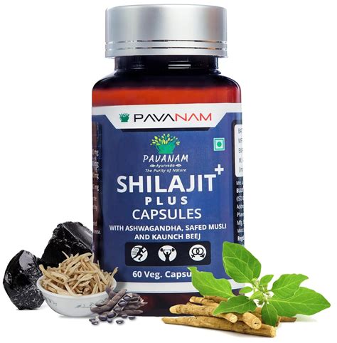 Pavanam Ayurveda Pure Himalayan Shilajit Gold Capsules for Men with ...