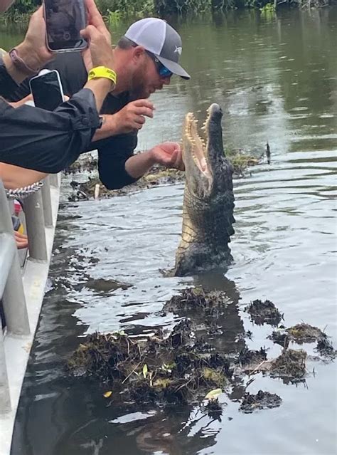 Swamp Tour 的图像结果