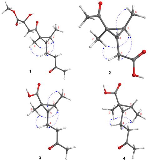 Antiviral Cyclopropane Acids from Deep-Sea-Derived Fungus Aspergillus ...