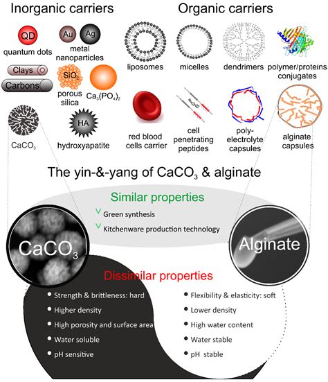 Hard, Soft, and Hard-and-Soft Drug Delivery Carriers Based on CaCO3 and ...
