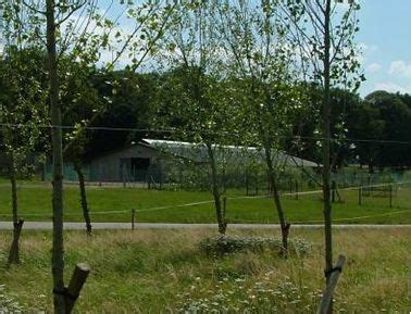 ZooLex Image - New trees