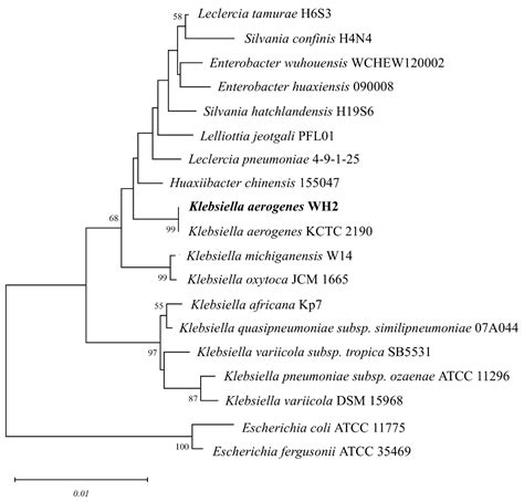 Biodecolorization and Biodegradation of Methyl Red by Halophilic ...