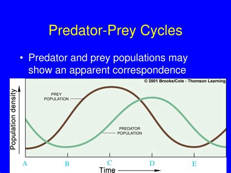 Image result for Predator-Prey Cycles