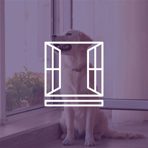 (Low Cost) Window Replacement in Phoenix, AZ