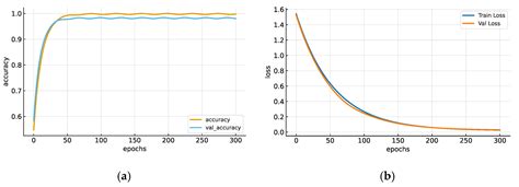 Toward Embedded Multi-Level Classification of 12-Lead ECG Signal ...