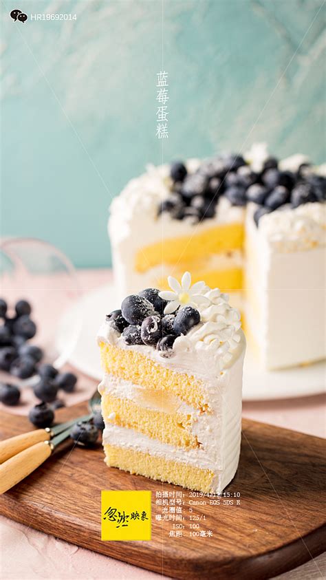蓝莓蛋糕的做法大全_蓝莓蛋糕的家常做法_怎么做好吃_图解做法与图片_专题_美食天下