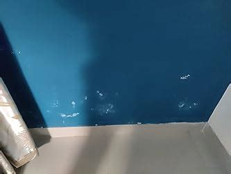 DR. FIXIT Dampguard Classic Damp-Proof, 1Kg, Coating For Internal Walls ...