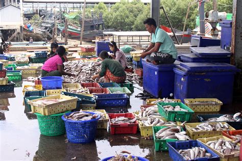 Myanmar Pockets Over $700 Mln From Fishery Exports In FY2022-2023 - Global New Light Of Myanmar