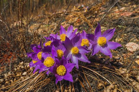 WKAQ 580 en Vivo - WKAQ, 580 kHz AM, San Juan, Puerto Rico | Online ...