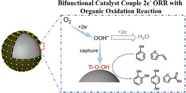 H2O2 Catalyst 的图像结果
