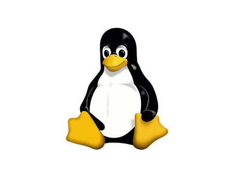 Image result for Linux Logo SVG