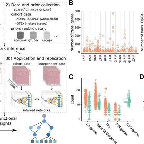 Image result for Graphical Abstract and Meta-Analysis
