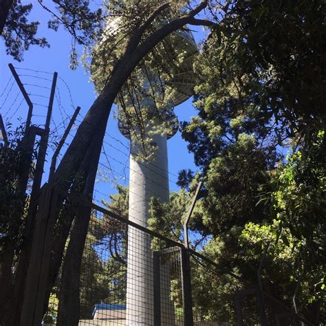 CERRO CARACOL (2025) All You Need to Know BEFORE You Go (with Photos ...