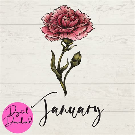January Birth Flower SVG, January SVG, Flower SVG, Carnation Svg ...
