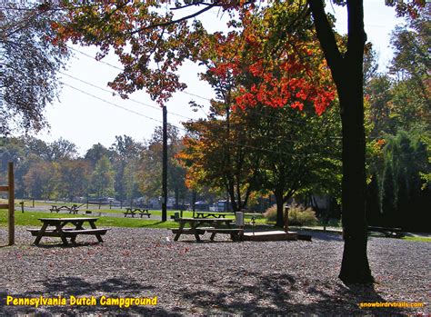 Pennsylvania Dutch Campground: Authentic Amish Country Experience