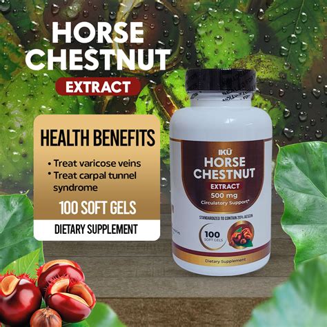 Horse Chestnut Extract - Vitamins and Supplements