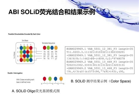 454 Pyrosequencing Steps 的图像结果