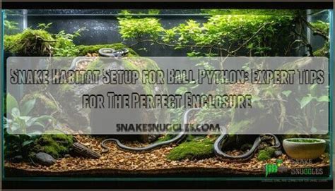 Ball Python Habitat Setup 的图像结果