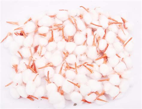 Dorvik Wicks Pooja/Wicks Cotton/Wicks batti/Cotton Wicks for Pooja ...