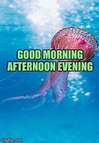 Image result for Whimsical Fish Good Morning