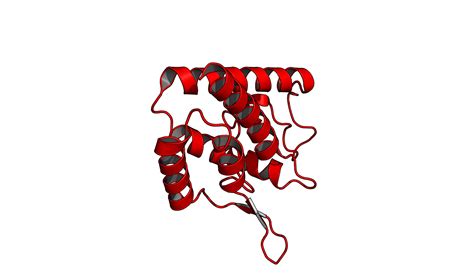 Image result for PyMOL Ray Tracing