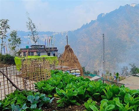 ZANGMO LEE BAAM (Ranipool) - B&B Reviews, Photos, Rate Comparison ...