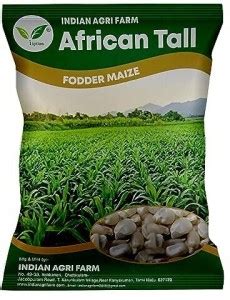 IAgriFarm African Tall Fodder Maize / Makka (Zea Mays) - 1 Kg for ...