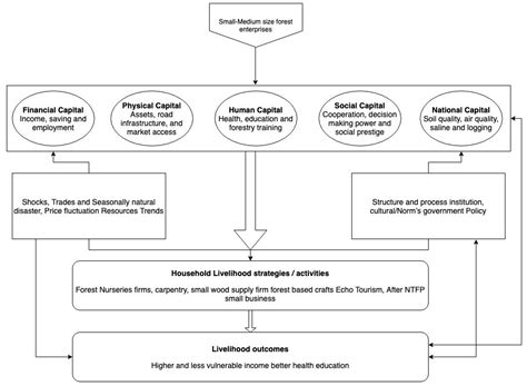 Impact of Small-to-Medium Size Forest Enterprises on Rural Livelihood ...