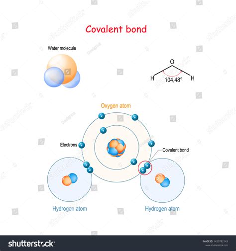 Image result for Covalent Bonding Example