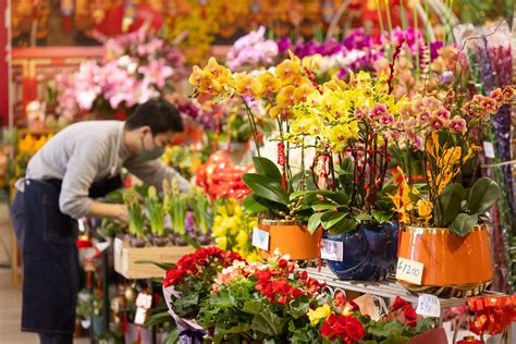 Visit the Flower Market in New Year 的图像结果