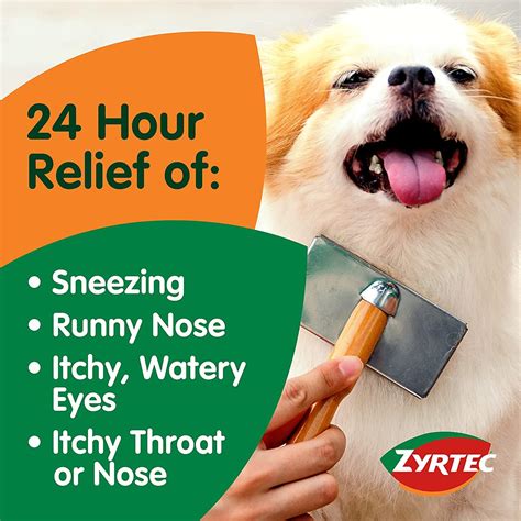 Can A Dog Take Zyrtec And Benadryl