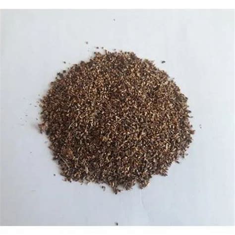 Tree Seeds - Mahogany Seeds Trader - Retailer from Chikkaballapur
