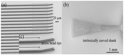 Amorphous Silicon Carbide Platform for Next Generation Penetrating ...