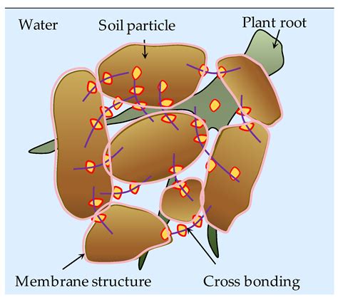 A State-of-the-Art Review of Organic Polymer Modifiers for Slope Eco ...