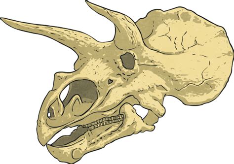 Triceratops for Kids: When & Where Did Triceratops Live?