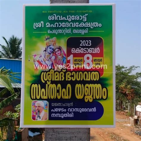 Sunpack Sheet Printing Services - Multicolor Sunpack Sheet Printing ...