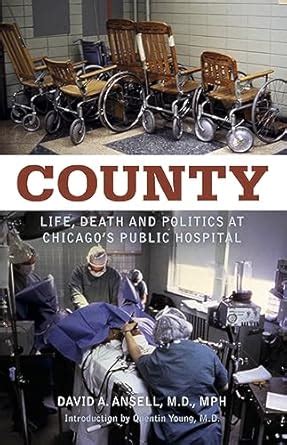 County: Life, Death and Politics at Chicago's Public Hospital eBook ...