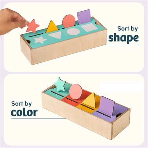 Curious Cub Shape & Color Sorter — Toycra