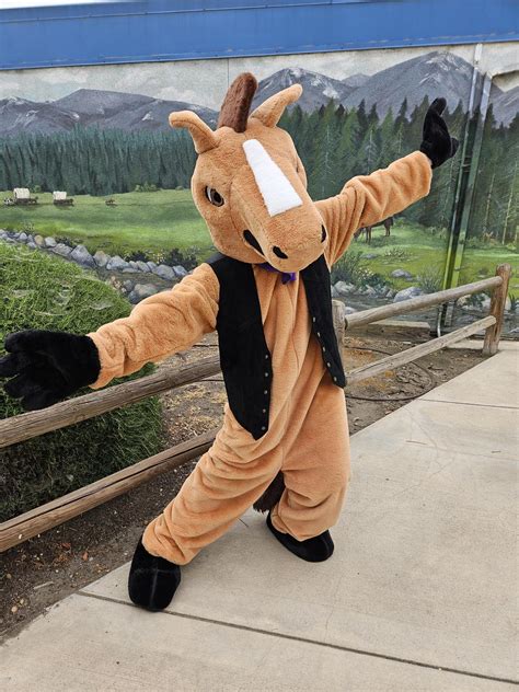 About Us – Our School – Ranch View School