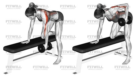 Dumbbell One Arm Bent Over Row: Exercise Guide, Video, Techniques, Benefits, How to, Muscles ...