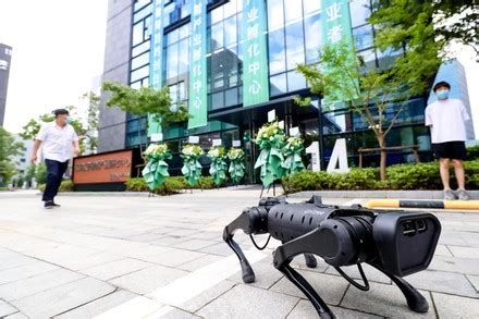 UniTree Robot Kitchen 的图像结果