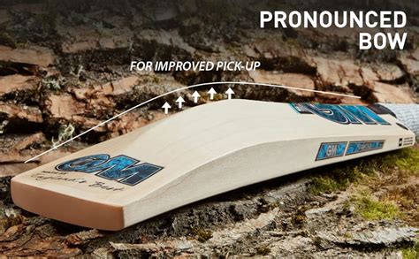 GM Diamond Player Edition (Ben Stokes) 2024 English Willow Cricket Bat ...