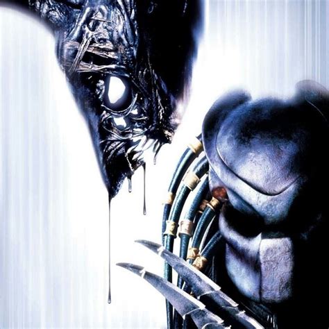 Image result for Alien vs Pre