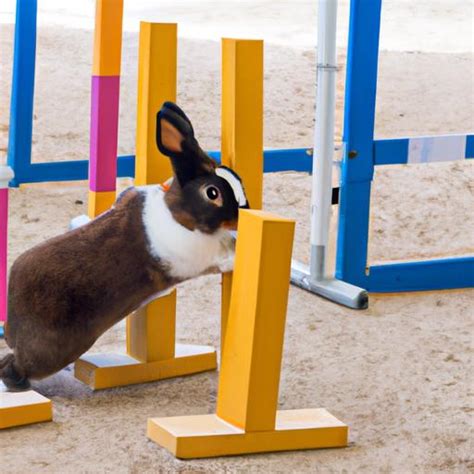 Rabbit Training 的图像结果