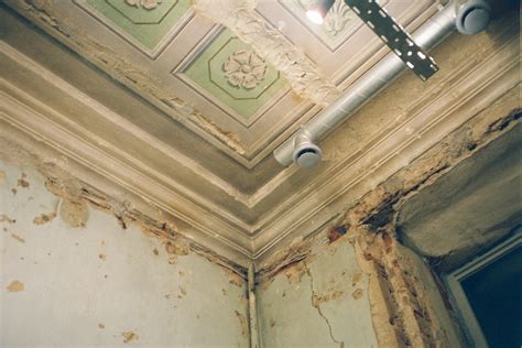 Knowing the Basics and Clear Signs of Ceiling Mold Growth