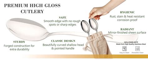 Parage Stainless Steel Spoons Set of 12, Dinner Spoon Length 16cm, Food ...