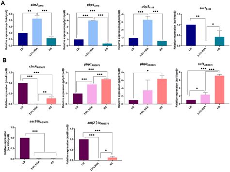 Interaction of Acinetobacter baumannii with Human Serum Albumin: Does ...
