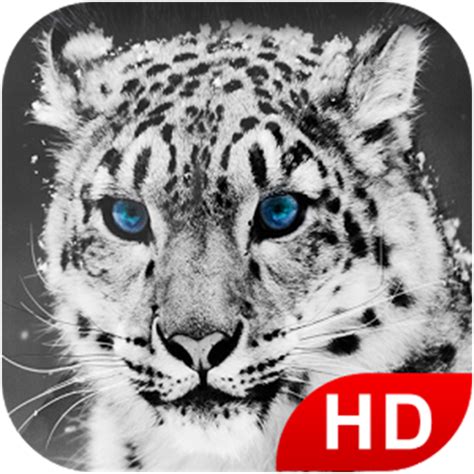 Animals HD Wallpapers 2018 - App on Amazon Appstore