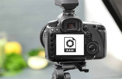 Image result for Raw File Extractor