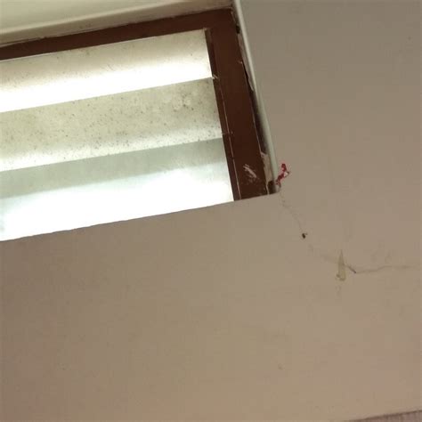 CASTLE INTERNATIONAL PREMIUM HOTEL (Coorg/Kushalnagar) - Hotel Reviews ...